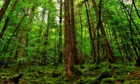 世界短跑接力赛高校联队选拔赛圆满结束，中国短跑接力赛最好成绩